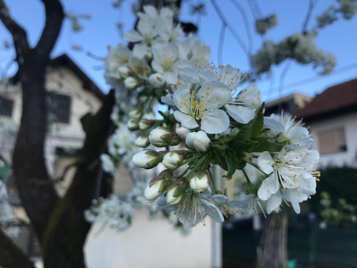 Apartman Katarina Загреб Екстериор снимка